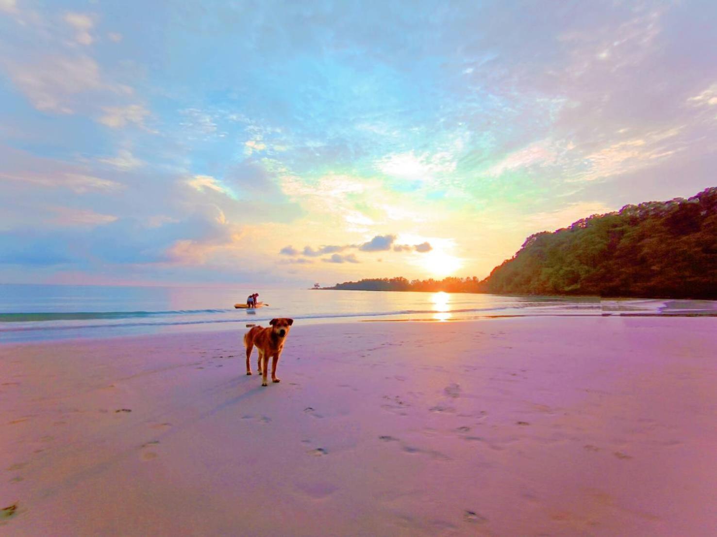 Koh Kood Neverland Beach Resort Ko Kut Exterior photo